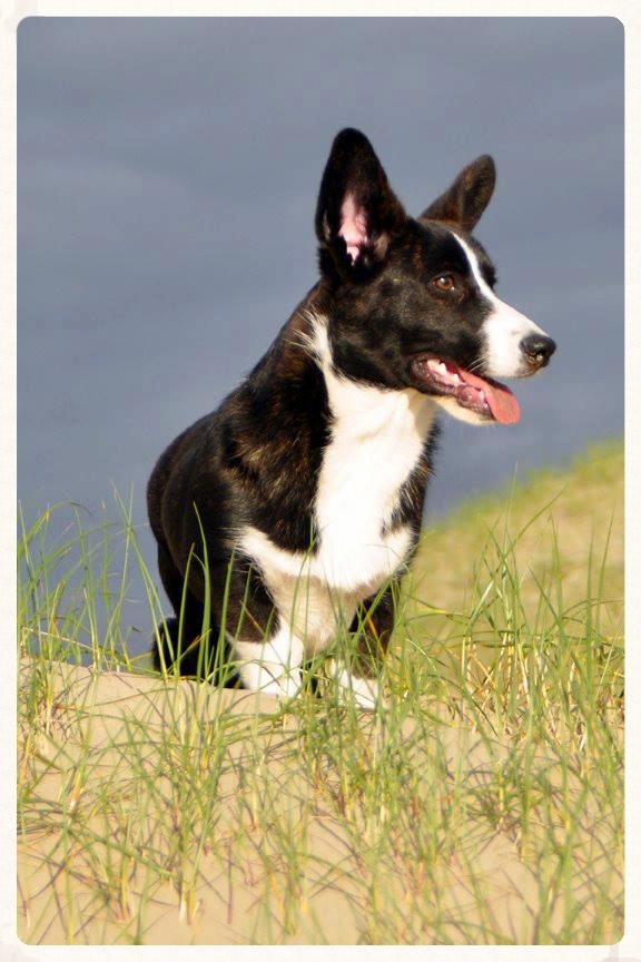Kennia at 12 months