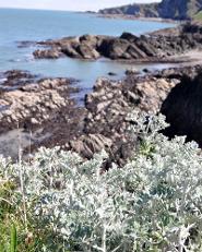 Just one of tthe images I shot on a break in Devon